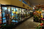 Interior flower shop with 17-door floral display case