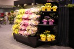 8 ft. flower basket open floral display case from Borgen Systems