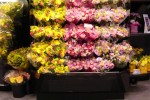 Floral baskets open flower display - Borgen Merchandising Systems