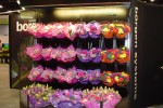 Open round floral case with conversion flip-up shelves - Borgen