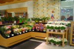 Custom laminate low-profile floral display case with pull-out shelf