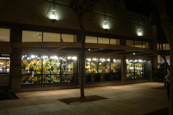 Exterior view of 17-door floral display case - Borgen