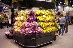 Open wrap floral display case from Borgen