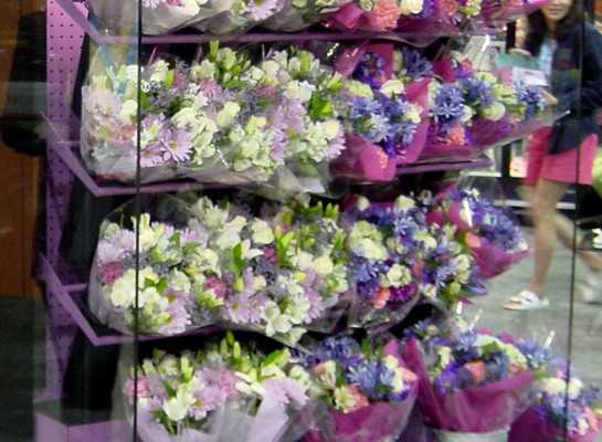 borgen floral cases for sale