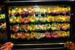 8 ft. open flower display case with CRS shelving