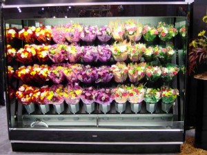 8 Foot open display case with fresh water exchange system