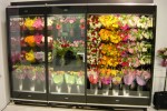 2-door combination floral case from Borgen Systems