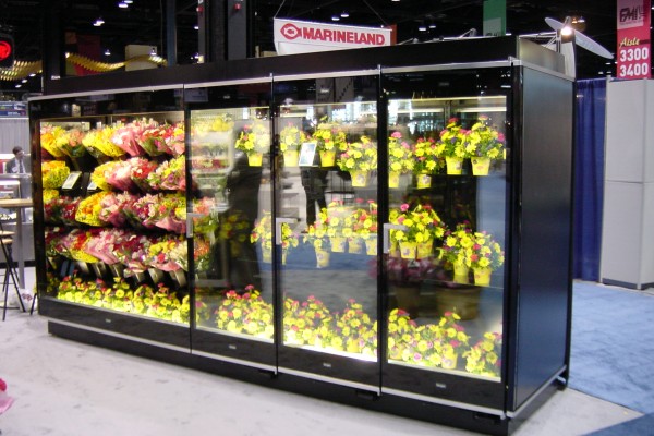 3 door open combination floral display case from Borgen