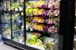 2 door flower combination refrigerated display case