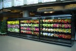 Borgen Systems floral display at Wells Fargo Arena