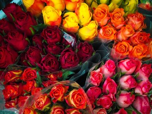 Rose bouquets - Borgen floral cases